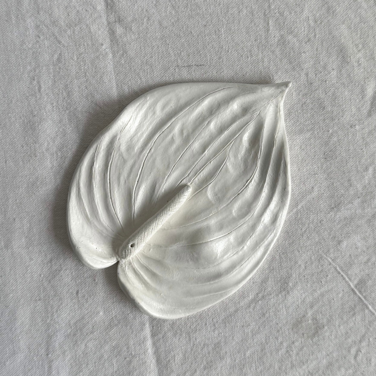 F06 ✺ Anthurium [Pre-order]