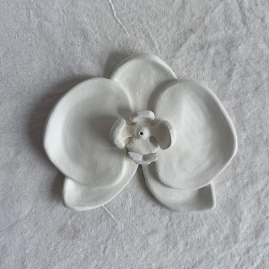 F03 ✺ Orchid [Pre-order]
