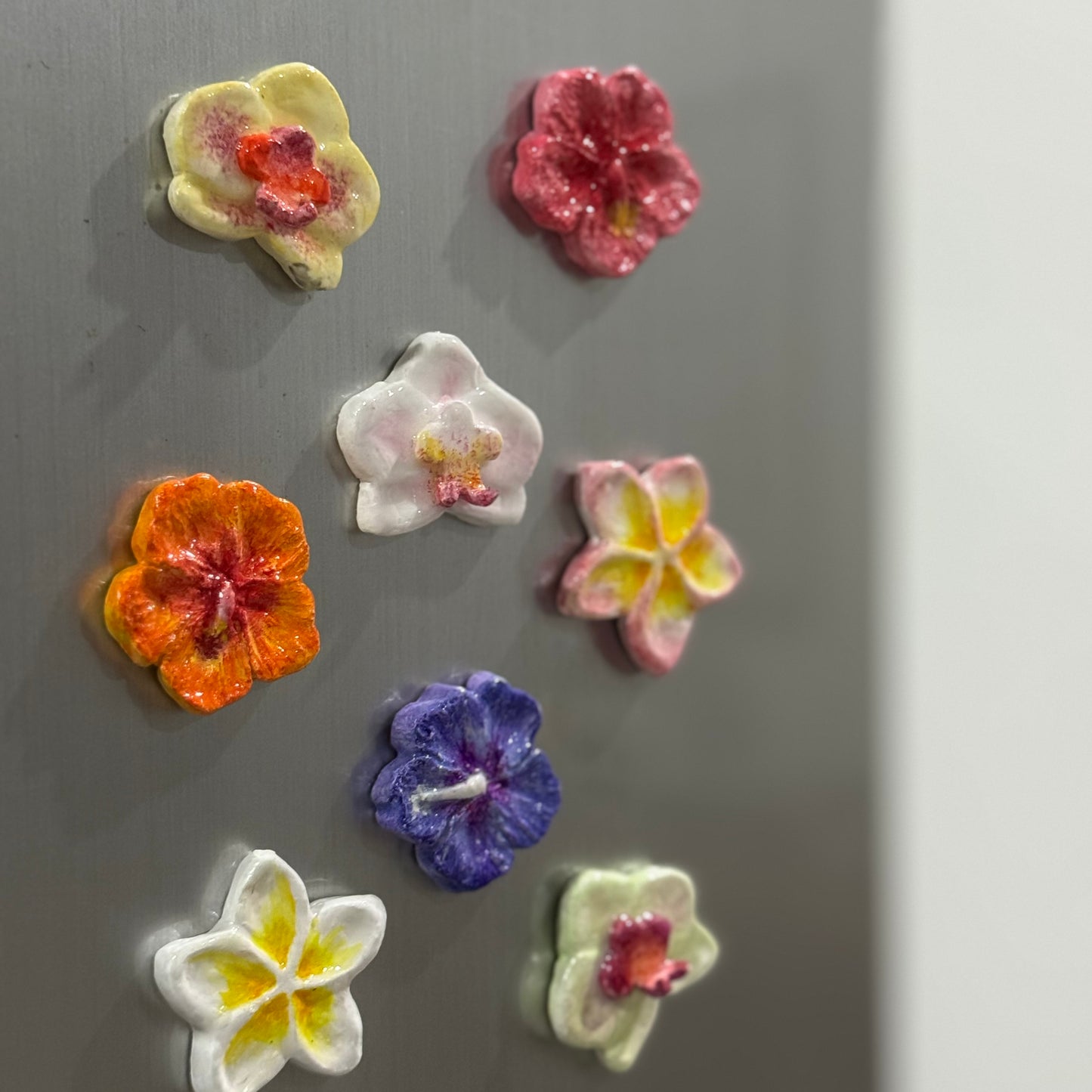 F08 ✺ Flora Magnets [Pre-order]